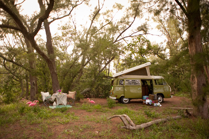 wood setting, camping vw bus, vintage 1978 Jasmine